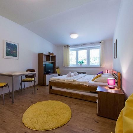 Apartman Lipno 20 Lipno nad Vltavou Exterior foto