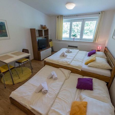 Apartman Lipno 20 Lipno nad Vltavou Exterior foto